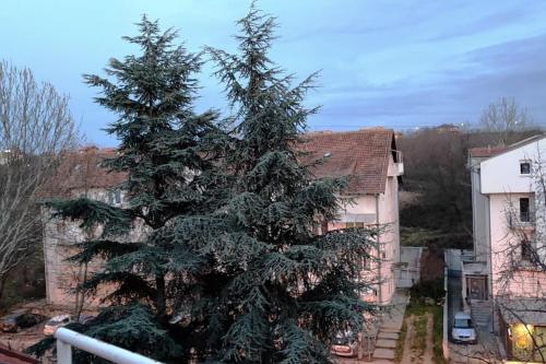 zwei Weihnachtsbäume vor einem Haus in der Unterkunft Blackwood Hill in Belgrad