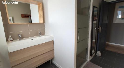 une salle de bain avec un lavabo, un miroir et une douche dans l'établissement Casa Jane, à Gujan-Mestras