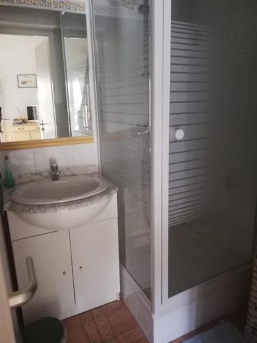 une salle de bain avec un lavabo et une douche en verre dans l'établissement MARINES DU ROUSSILLON 78 -Villa 4 pers en résidence avec piscine à 150 m de la plage - Clim - parking, à Saint-Cyprien