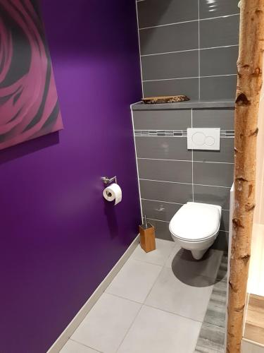 a bathroom with a purple wall and a toilet at Gite "Lili" in Lapoutroie