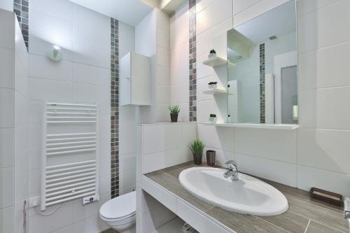 a bathroom with a sink and a toilet and a mirror at Appartement Le Spacieux Bressan - Hyper-Centre in Bourg-en-Bresse