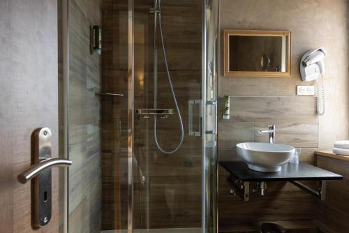 a bathroom with a glass shower with a sink at Parc Hôtel in Wangenbourg