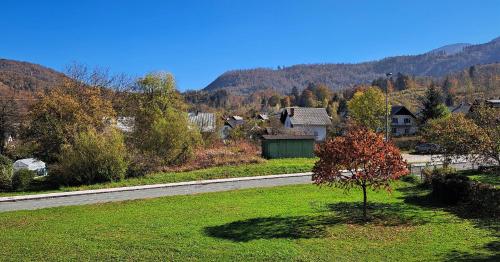 Gallery image of Apartmaji Alpski cvet - Hiša Gorenc in Bohinj
