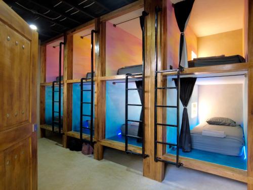 grupa łóżek piętrowych w pokoju w obiekcie Shipwrecked Hostel w mieście Uvita