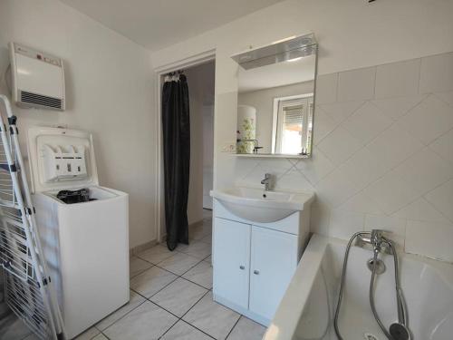 La salle de bains blanche est pourvue d'un lavabo et d'une douche. dans l'établissement Gîte l'hirondelle, à Flers-lez-Lille