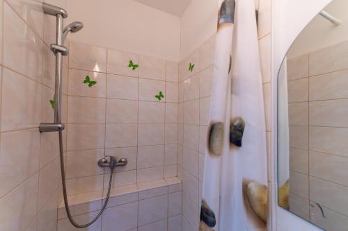 baño con ducha con ranas en la pared en Penzion U Sýkorů, en Domanín