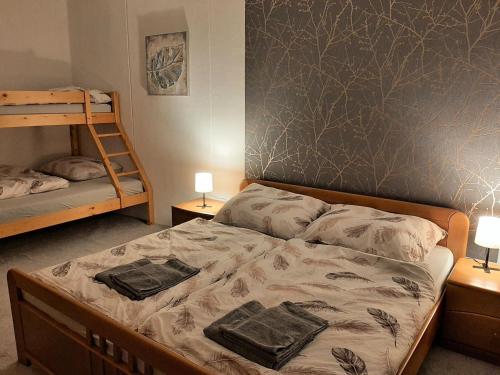 una camera con 2 letti e un letto a castello di Apartment Helena Harrachov by Interhome a Harrachov