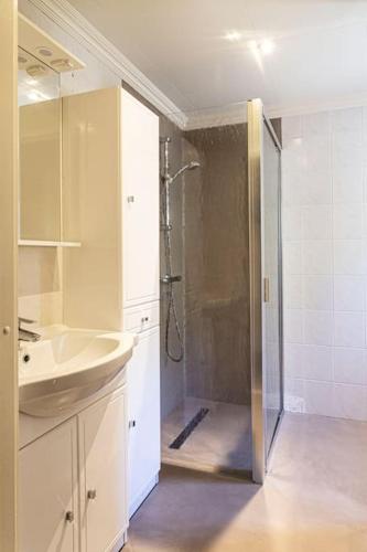 une salle de bain avec une douche avec un lavabo et un miroir dans l'établissement Villa Vista Mare 11 Favone, à Conca