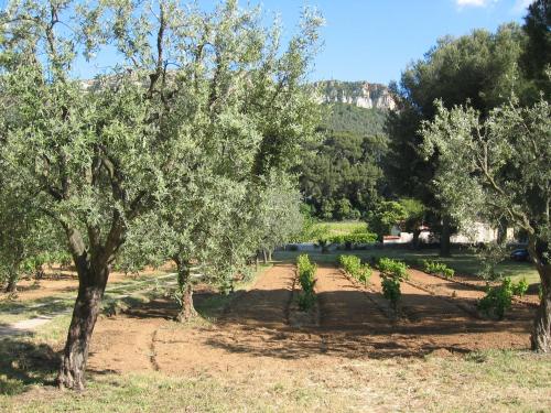 a garden with trees and a hill in the background at Lou Jas, maison de charme, à 1 km de la mer in Cassis