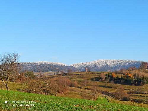 a green field with trees and mountains in the background at Chata pod smrekmi in Hriňová