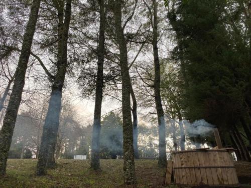 a wooden barrel with smoke in a field with trees at VALDIVIA, Tralcao Lodge in Valdivia