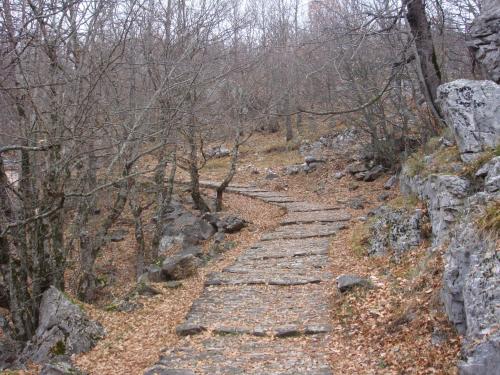 a stone path on a hill in the woods at Vikos Hotel in Monodendri