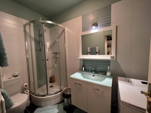 La salle de bains est pourvue d'une douche, de toilettes et d'un lavabo. dans l'établissement Spacieux studio sur jardin, beaucoup de charme, à Boulogne-Billancourt