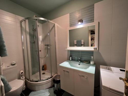 une salle de bain avec une douche, des toilettes et un lavabo dans l'établissement Spacieux studio sur jardin, beaucoup de charme, à Boulogne-Billancourt