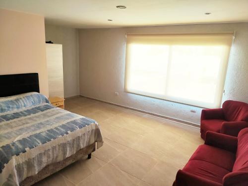 1 dormitorio con cama, sofá y ventana en Simplicity Apart en San Rafael
