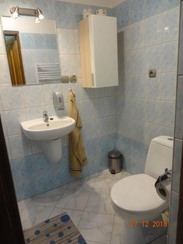 a bathroom with a toilet and a sink at Chalupa-statek Arkáda in Božanov