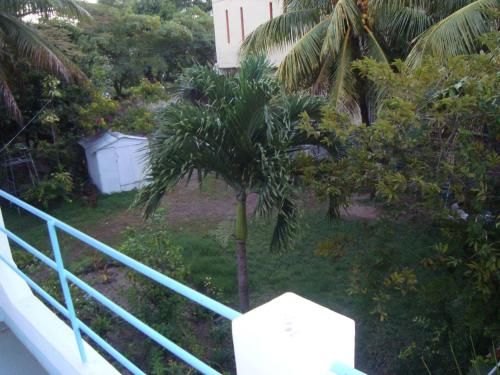 a palm tree in the yard of a house at Souriam Villa in Grand-Baie