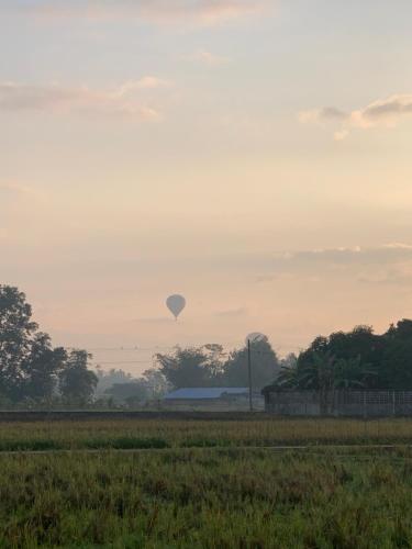 a hot air balloon in the sky over a field at MonMin Farmstay in Ban Mae Cho