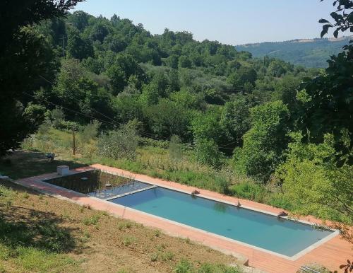 a swimming pool in the middle of a forest at Podere di Maggio - Canvas tent Chestnut in Santa Fiora