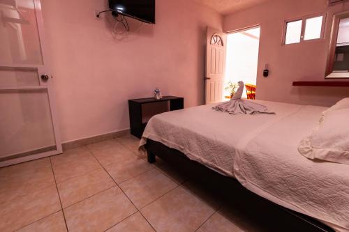 a bedroom with a bed and a tv on the wall at Hotel Bello Caribe Express in Cozumel