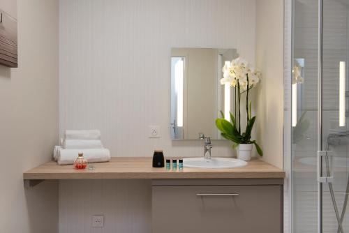 La salle de bains est pourvue d'un lavabo et d'un vase de fleurs. dans l'établissement Résidence Les Boréales, à Rouen