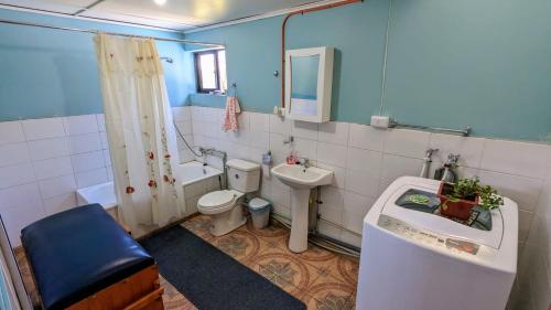 a bathroom with a sink and a toilet and a mirror at Cabaña el Coirón in Cochrane