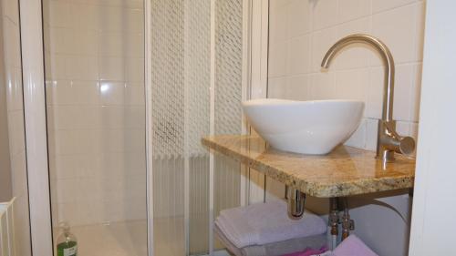 a bathroom with a sink and a shower at Gite aux Minimes - Au jardin des alouettes in Toulouse
