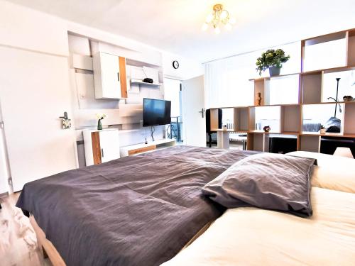 a bedroom with a large bed and a tv at Apartment Hroncová, near city centre and park, quiet location in Košice