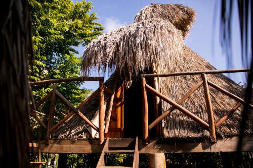 Imagen de la galería de Hotel El Copal, en Mazunte