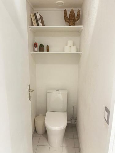 a small bathroom with a toilet and shelves at Azuri Lodge Duplex Marina in Saint-François