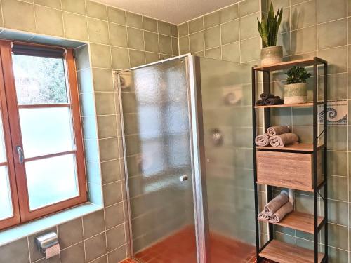 a bathroom with a shower and a glass shower stall at Ferienwohnung Berglust in Sachrang