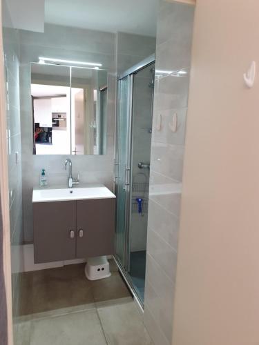 une salle de bain avec un lavabo et une douche dans l'établissement CAPAO beau T3 vue mer piscine Cap d'Agde, au Cap d'Agde