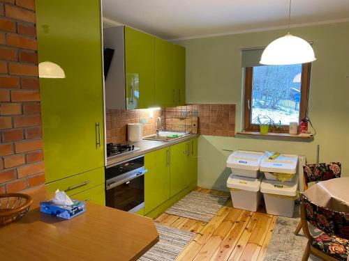 カルパチにあるPod Jeleńcemのキッチン(緑のキャビネット、テーブル、窓付)