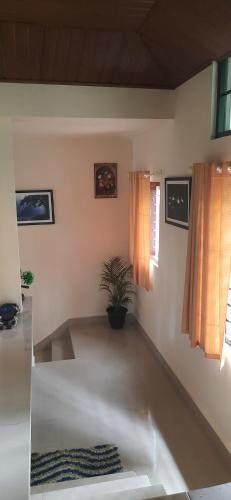 a living room with a potted plant on the floor at NEST Mdy in Mananthavady