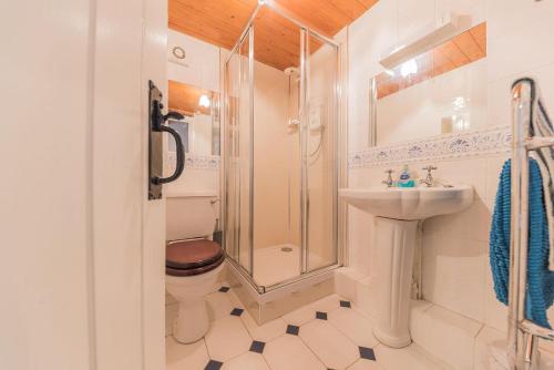 a bathroom with a shower and a toilet and a sink at Millers Cottage Woodland Coniston in Torver
