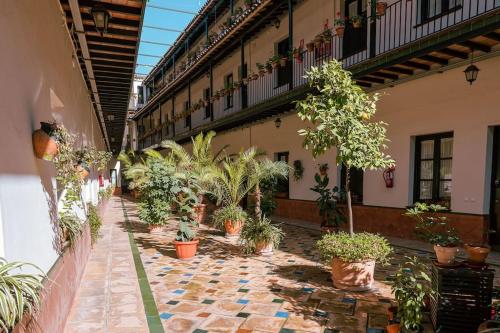 Apartamento con encanto en patio sevillano (202)
