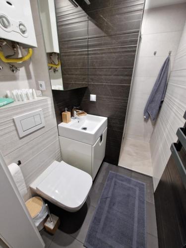 ein kleines Bad mit WC und Waschbecken in der Unterkunft APARTAMENT SĄDECKA OSTOJA in Nowy Sącz