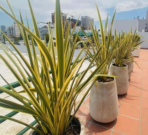 a row of plants in pots on a roof at HOTEL CASTELAR CORDOBA in Córdoba