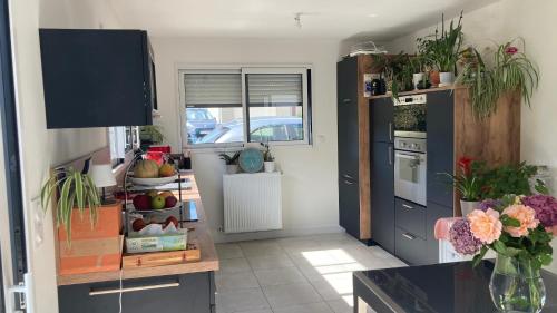 a kitchen with a counter with plants on the cabinets at Ker Neizh Cancale, Cottage Baie de Cancale GR34 in Cancale