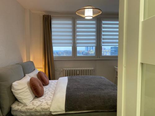 ein Schlafzimmer mit einem Bett mit Kissen und einem Fenster in der Unterkunft Ostrava Poruba Centre in Ostrava
