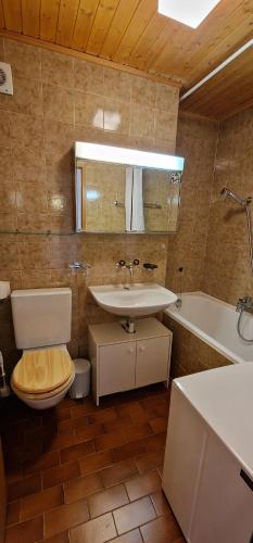 een badkamer met een toilet, een wastafel en een bad bij Edelweiss 6 in Champoussin