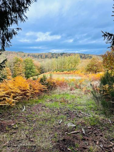  La Petite Passerelle à Mouzaive -  Room  picture :   Tea/Coffee maker    Shower    TV                           