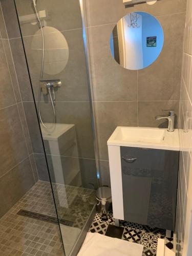 un bagno con doccia e lavandino di la maison bleue appart 1 a Remoncourt