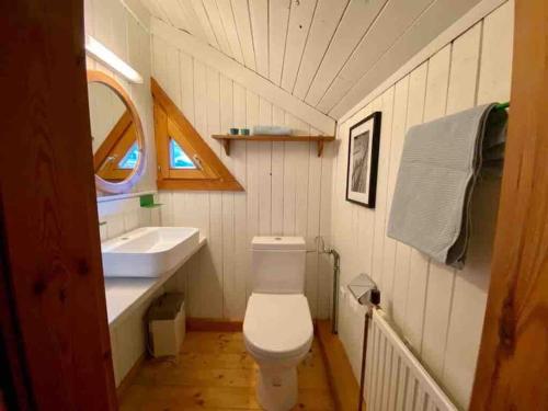een kleine badkamer met een toilet en een wastafel bij Gemütliches Häuschen im Zentrum in Grossarl