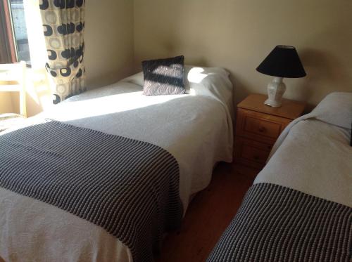 a bedroom with two beds and a lamp on a night stand at Seber House in Kilbeggan