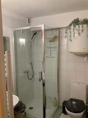 uma casa de banho com um chuveiro e um WC. em Good Vibes em Grenoble