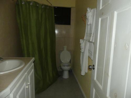 a bathroom with a toilet and a green shower curtain at Southern Haven Guesthouse in Laborie