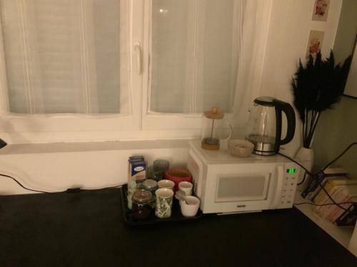 um balcão de cozinha com um micro-ondas e uma janela em Good Vibes em Grenoble