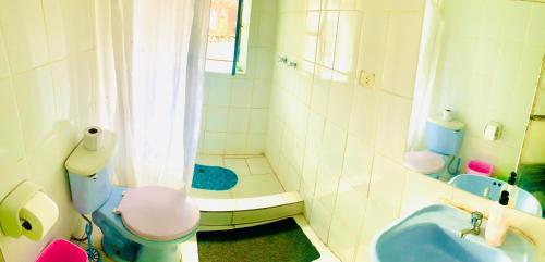 a bathroom with a blue toilet and a shower at Ukumari Hostel in Cusco