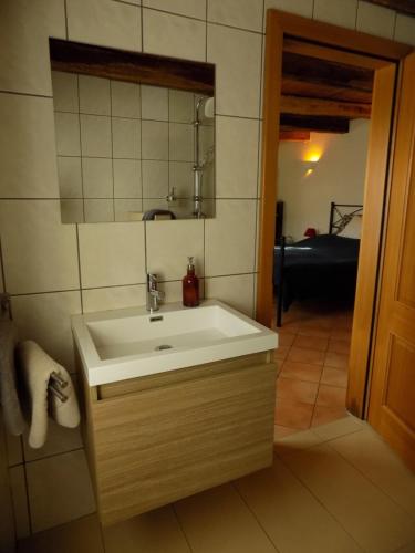 ein Bad mit einem Waschbecken und einem Spiegel in der Unterkunft Domaine de la Mance - Maisonnette avec cheminée in Vitrey